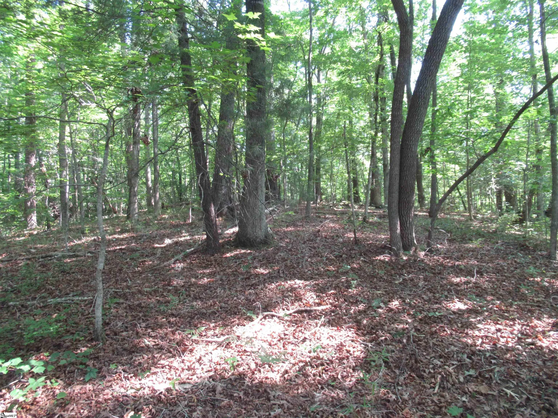 Property image 5 at 205 Gauley Falls Road, Pickens, SC 29671