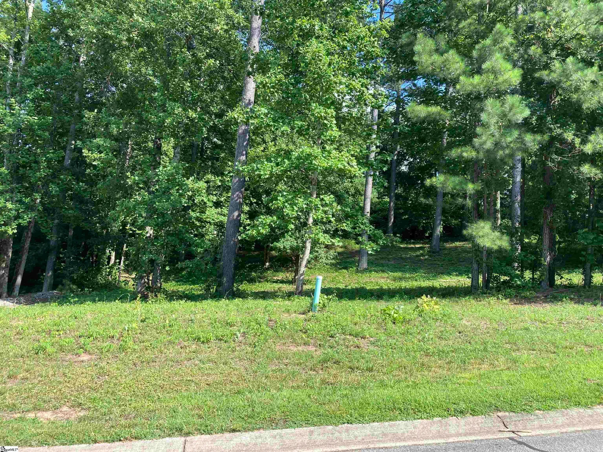 Property image 4 at 302 Signature Drive, Travelers Rest, SC 29690