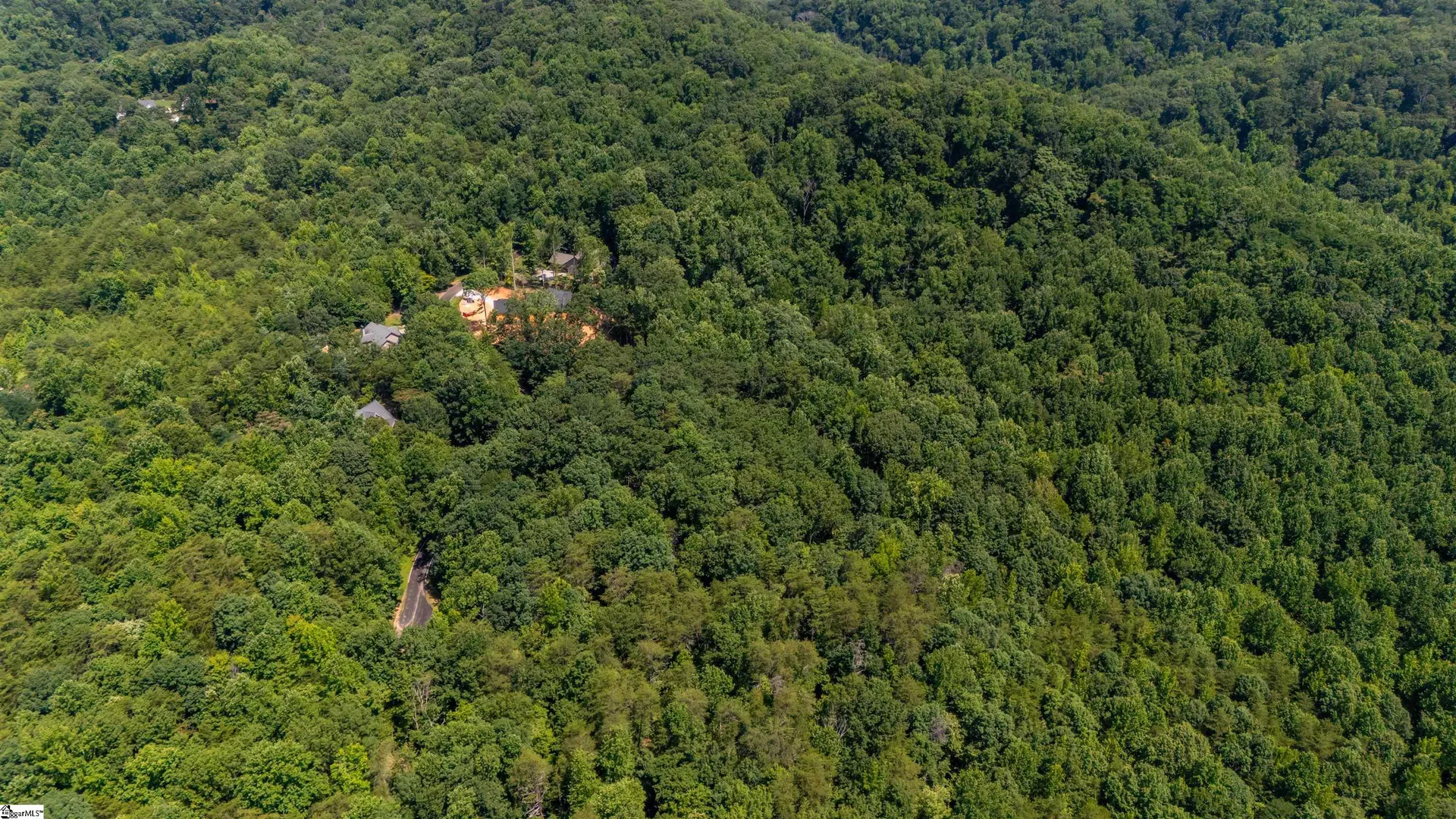 Property image 5 at 43 Angleblade Road, Landrum, SC 29356