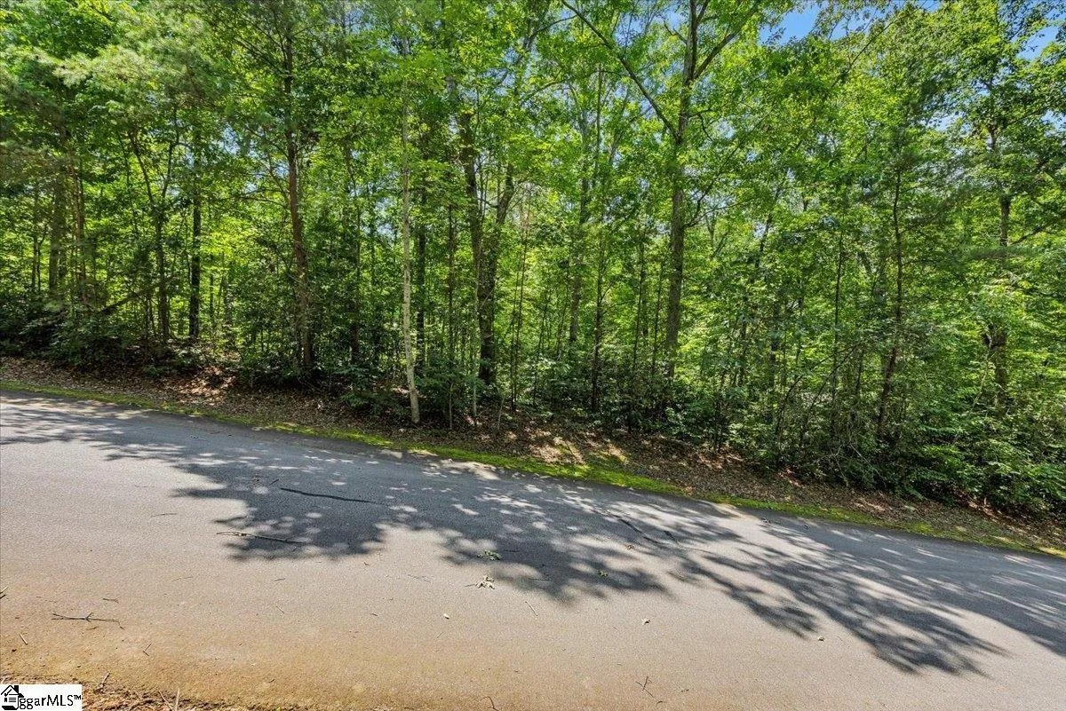 Property image 3 at 14 Alsace Way, Travelers Rest, SC 29690
