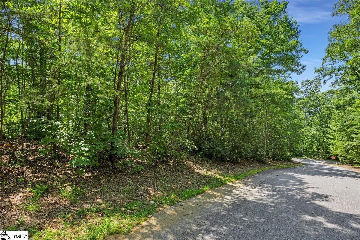 Property image 4 at 14 Alsace Way, Travelers Rest, SC 29690