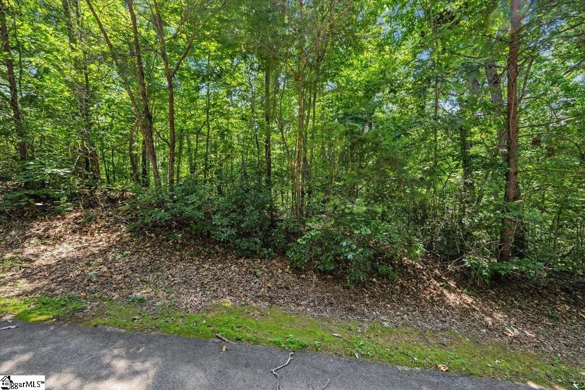 Property image 5 at 14 Alsace Way, Travelers Rest, SC 29690