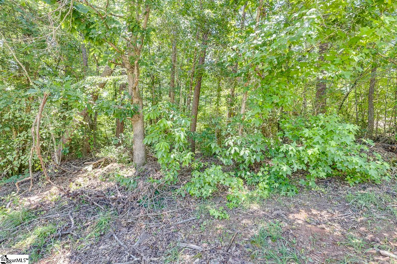 Property image 5 at 1208 Bradford Creek Lane, Taylors, SC 29687
