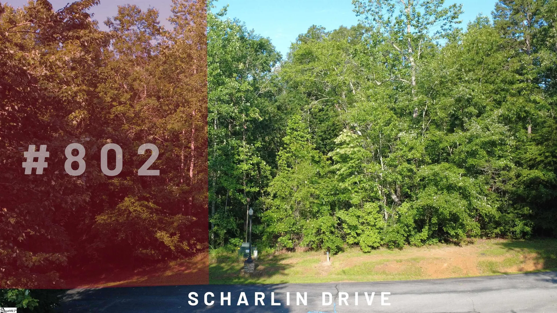 802 Scharlin Drive