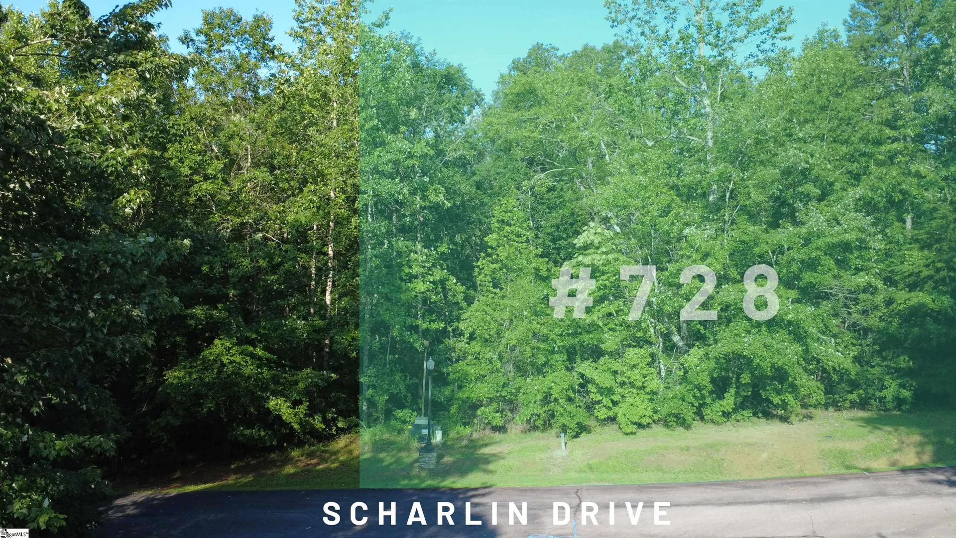 728 Scharlin Drive