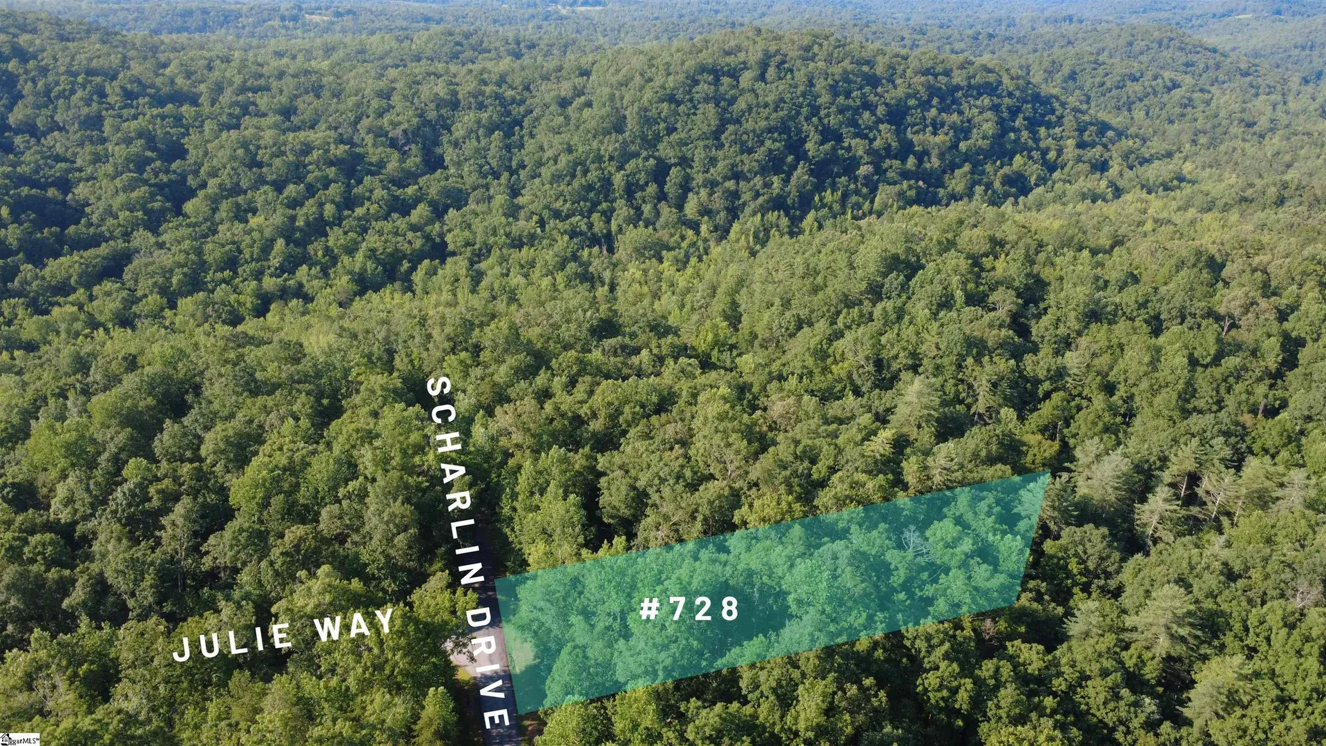 Property image 3 at 728 Scharlin Drive, Pickens, SC 29672