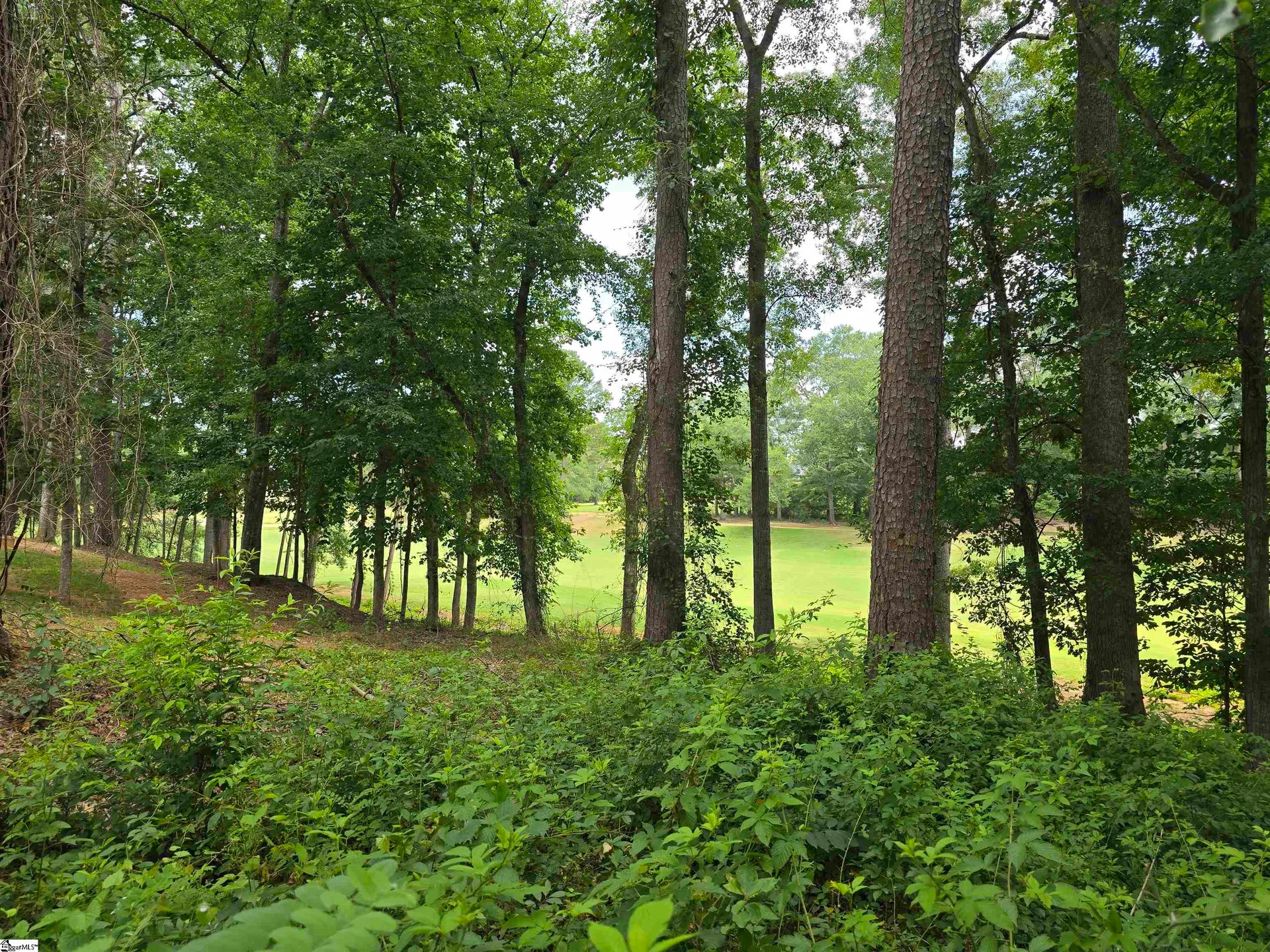 513 Quail Hollow Road