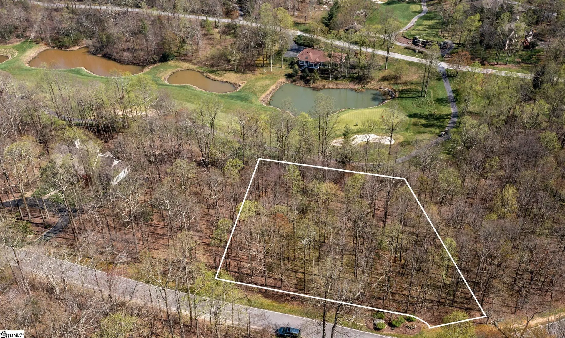 Property image 2 at 30 Snap Dragon Way, Landrum, SC 29356-3329
