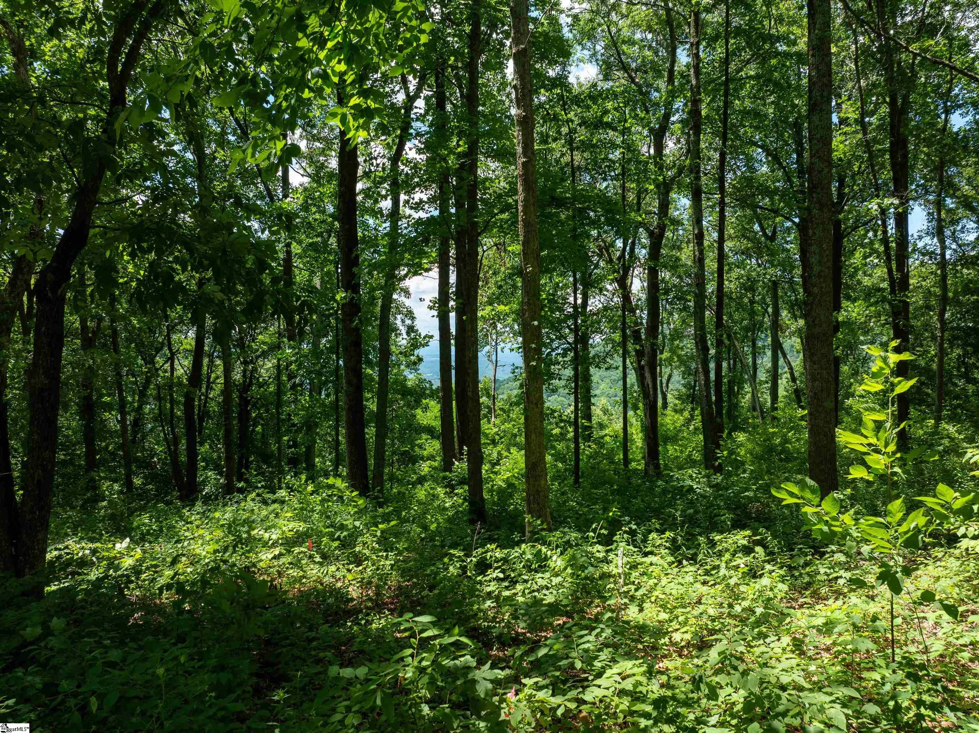 Property image 3 at 28 Raven Road, Landrum, SC 29356