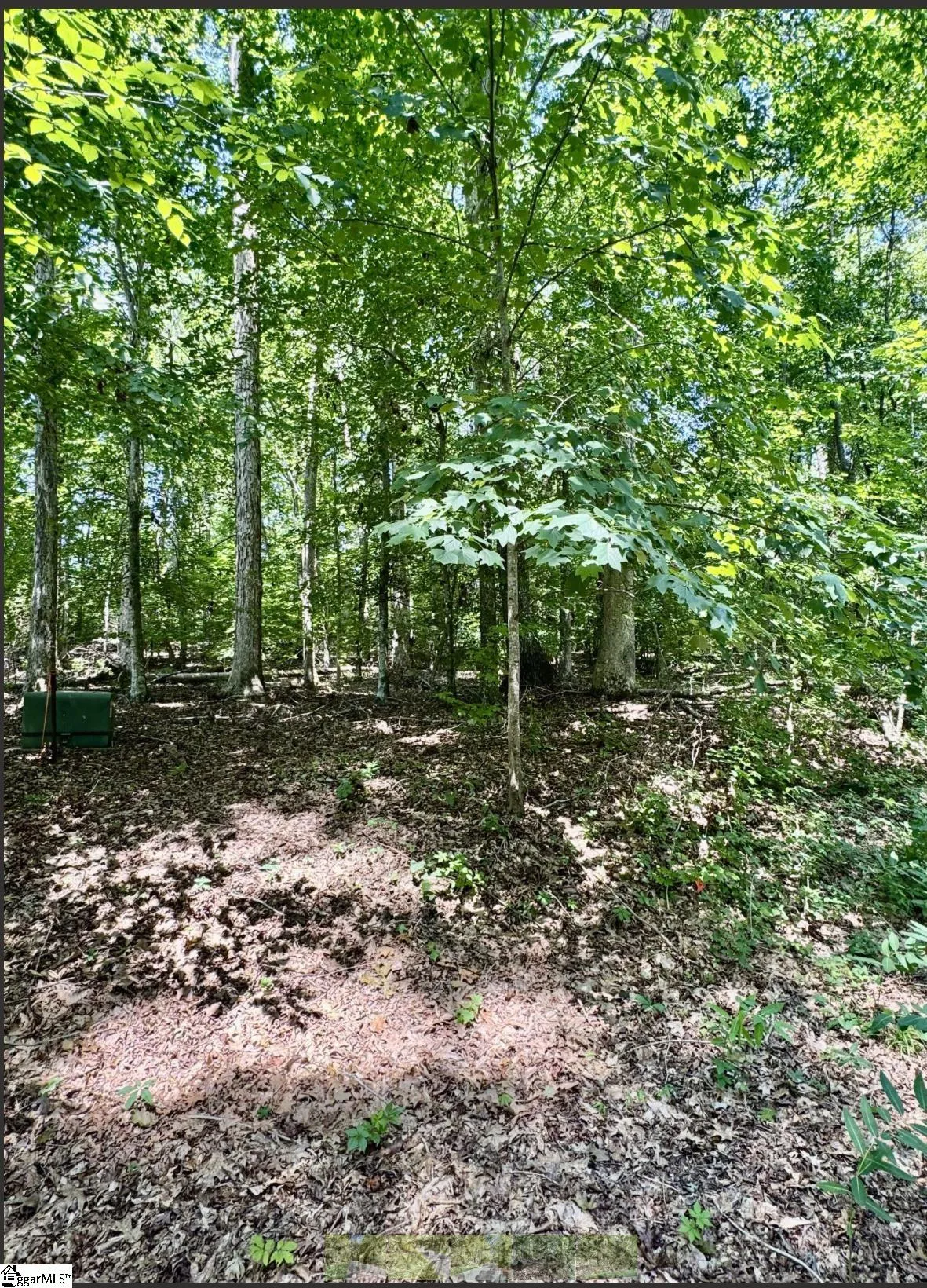 Property image 2 at Lot B Adair Place, Laurens, SC 29360