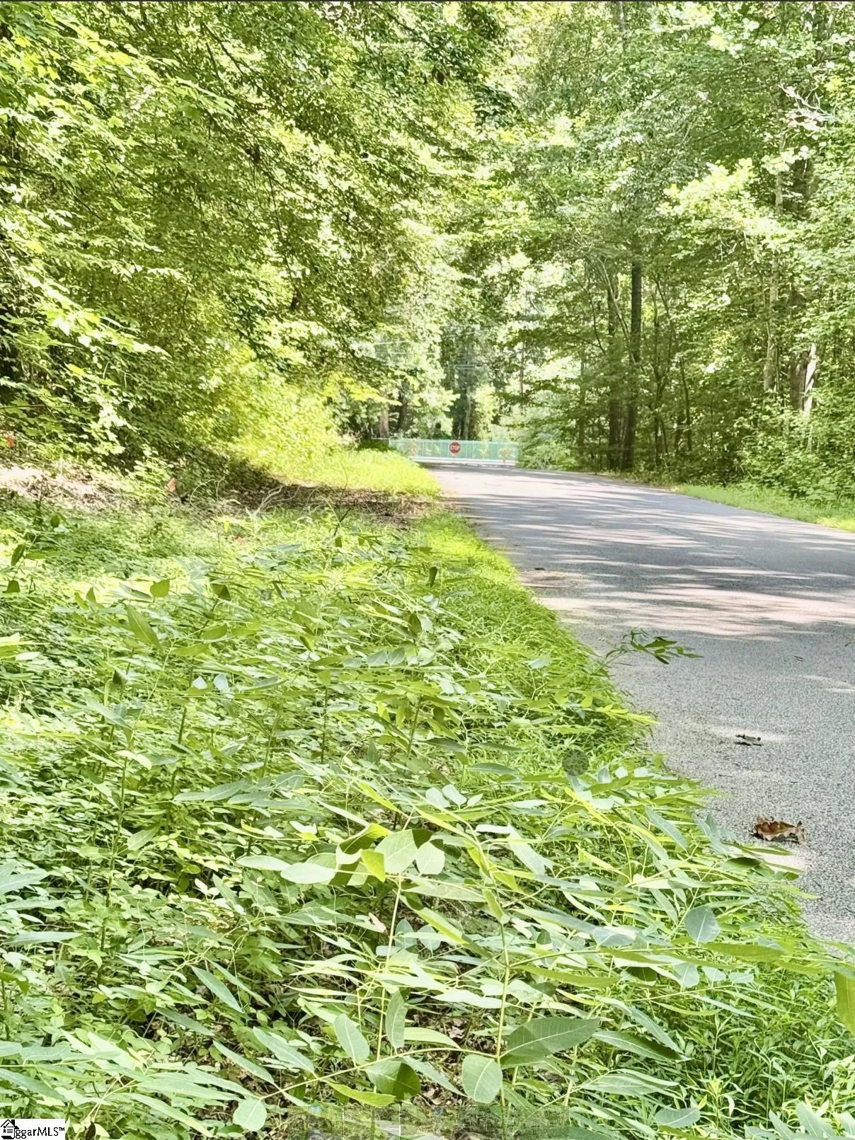 Property image 3 at Lot B Adair Place, Laurens, SC 29360