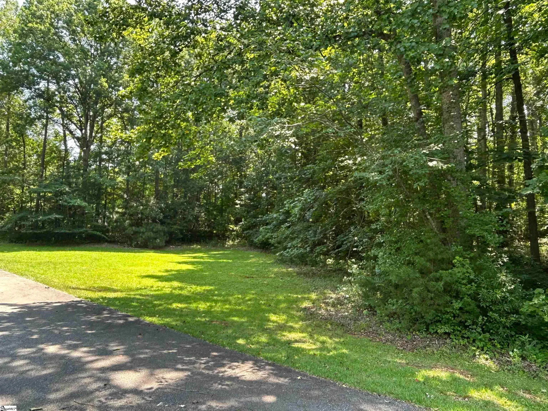 Property image 1 at 00 Pinewood Drive, Woodruff, SC 29388