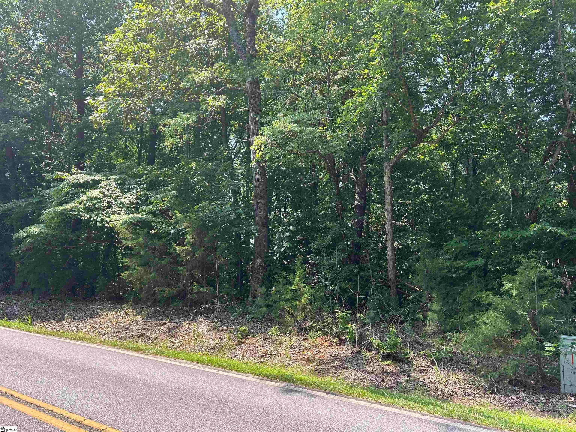 Property image 3 at 00 Pinewood Drive, Woodruff, SC 29388