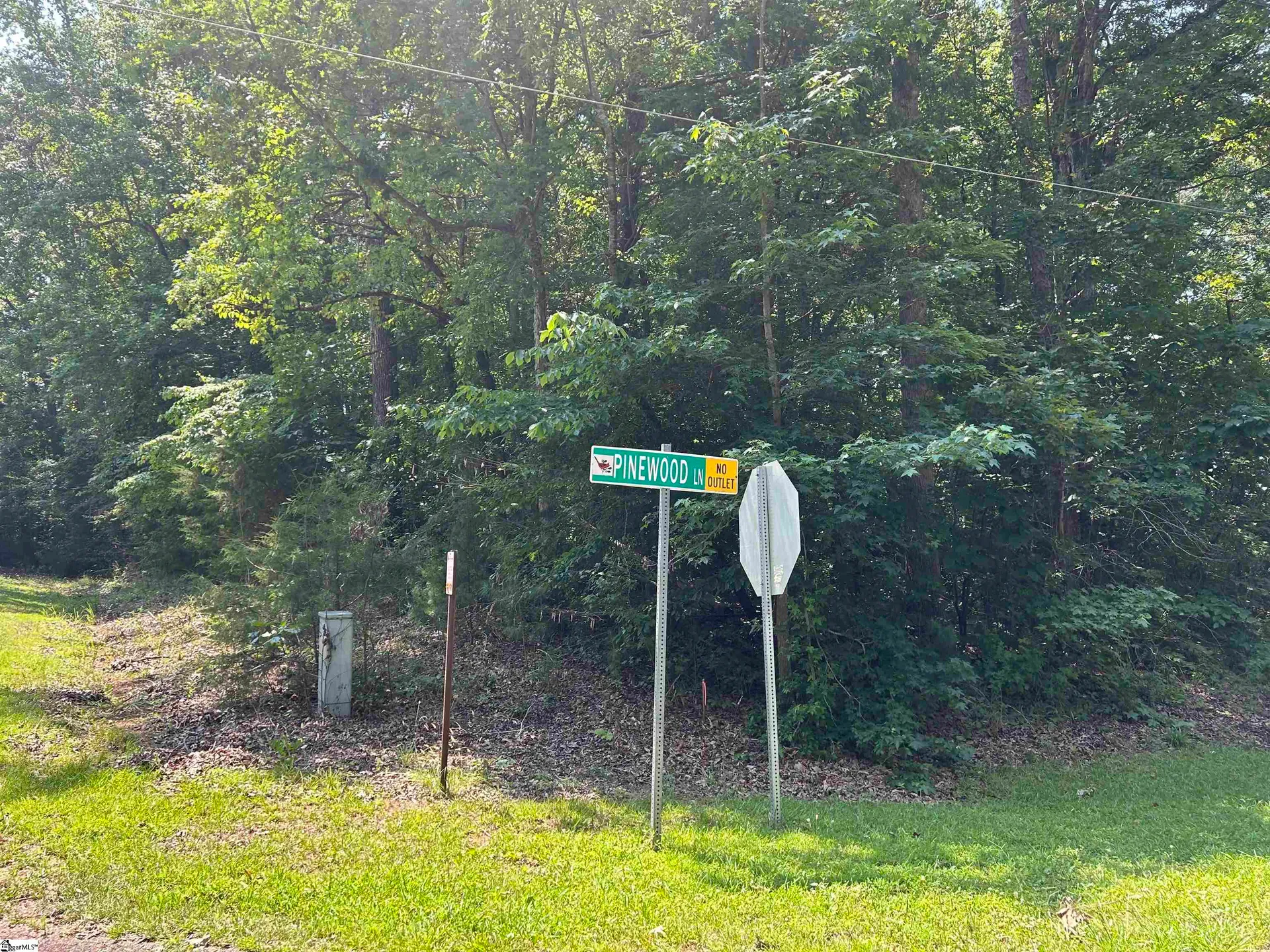 Property image 4 at 00 Pinewood Drive, Woodruff, SC 29388