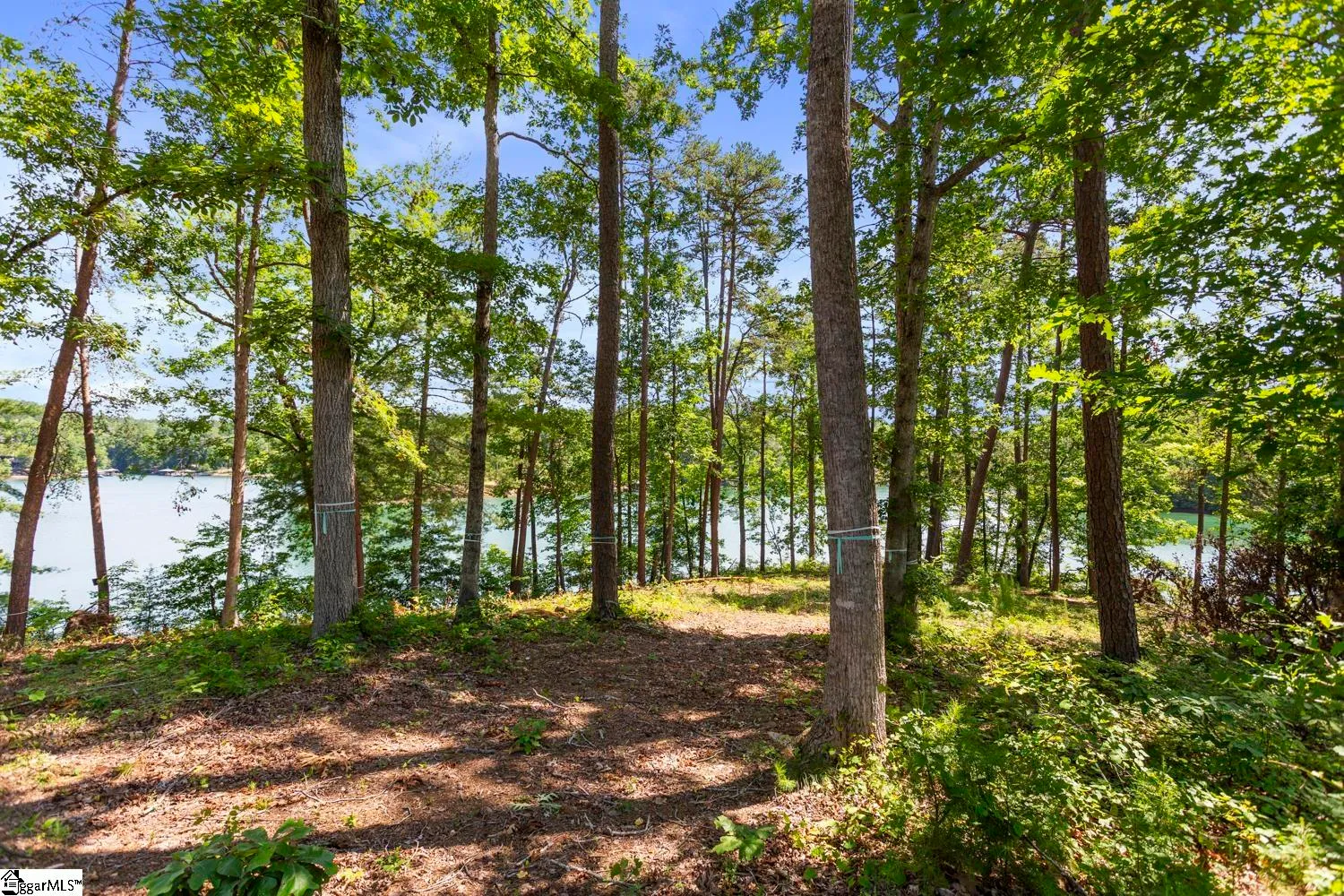 Property image 4 at 108 Hunter Hill Circle, Six Mile, SC 29682