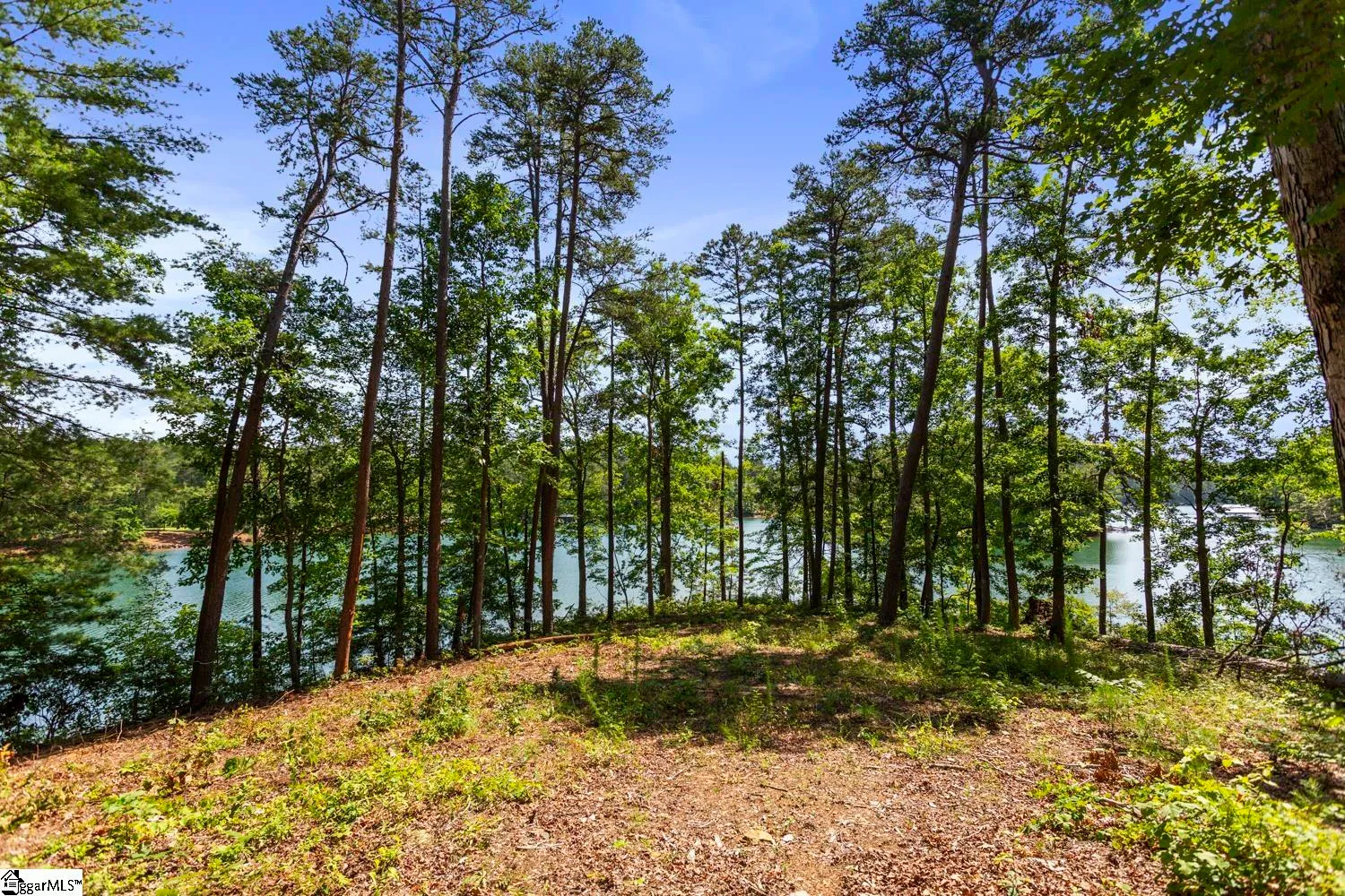 Property image 5 at 108 Hunter Hill Circle, Six Mile, SC 29682