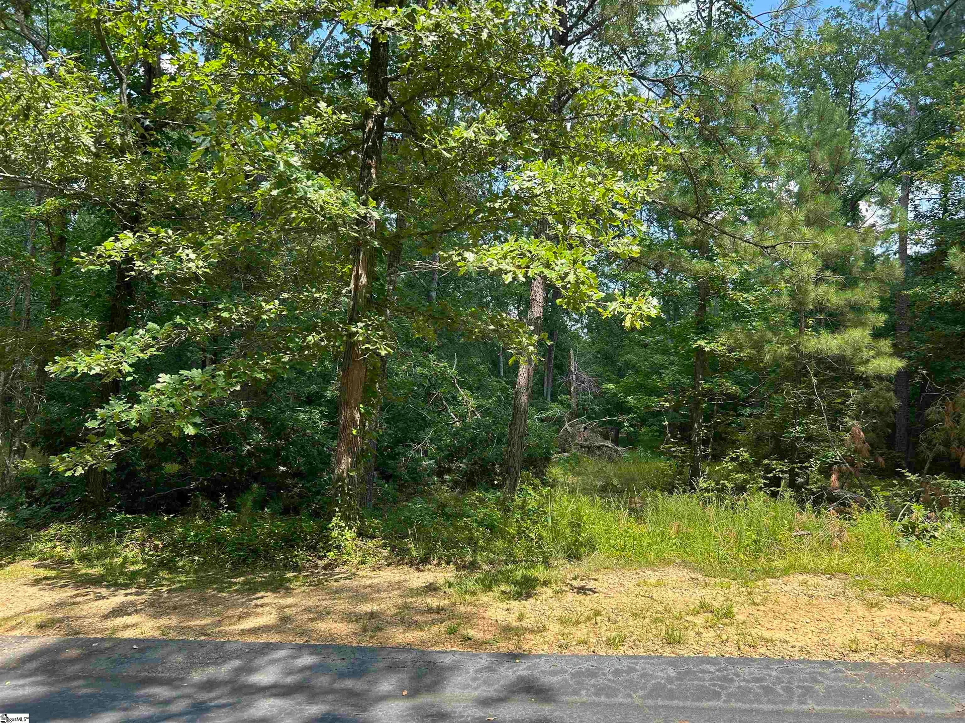 Property image 3 at 107 Armory Court, Ninety Six, SC 29666
