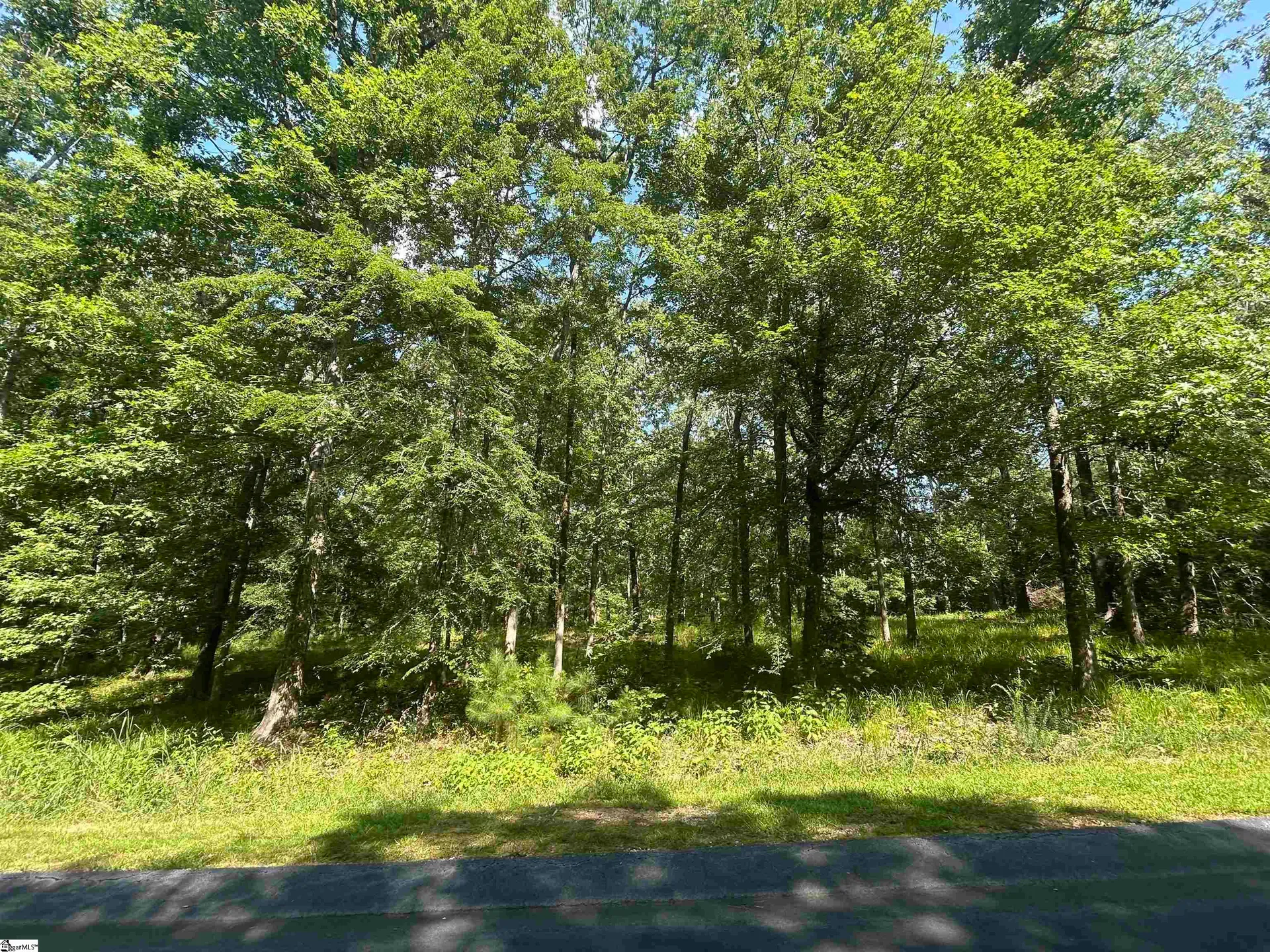 Property image 4 at 107 Armory Court, Ninety Six, SC 29666