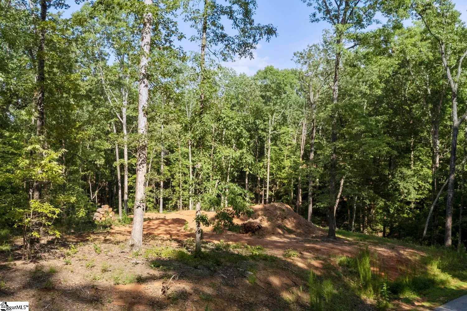 Property image 3 at 6004 Glassy Water Way, West Union, SC 29696