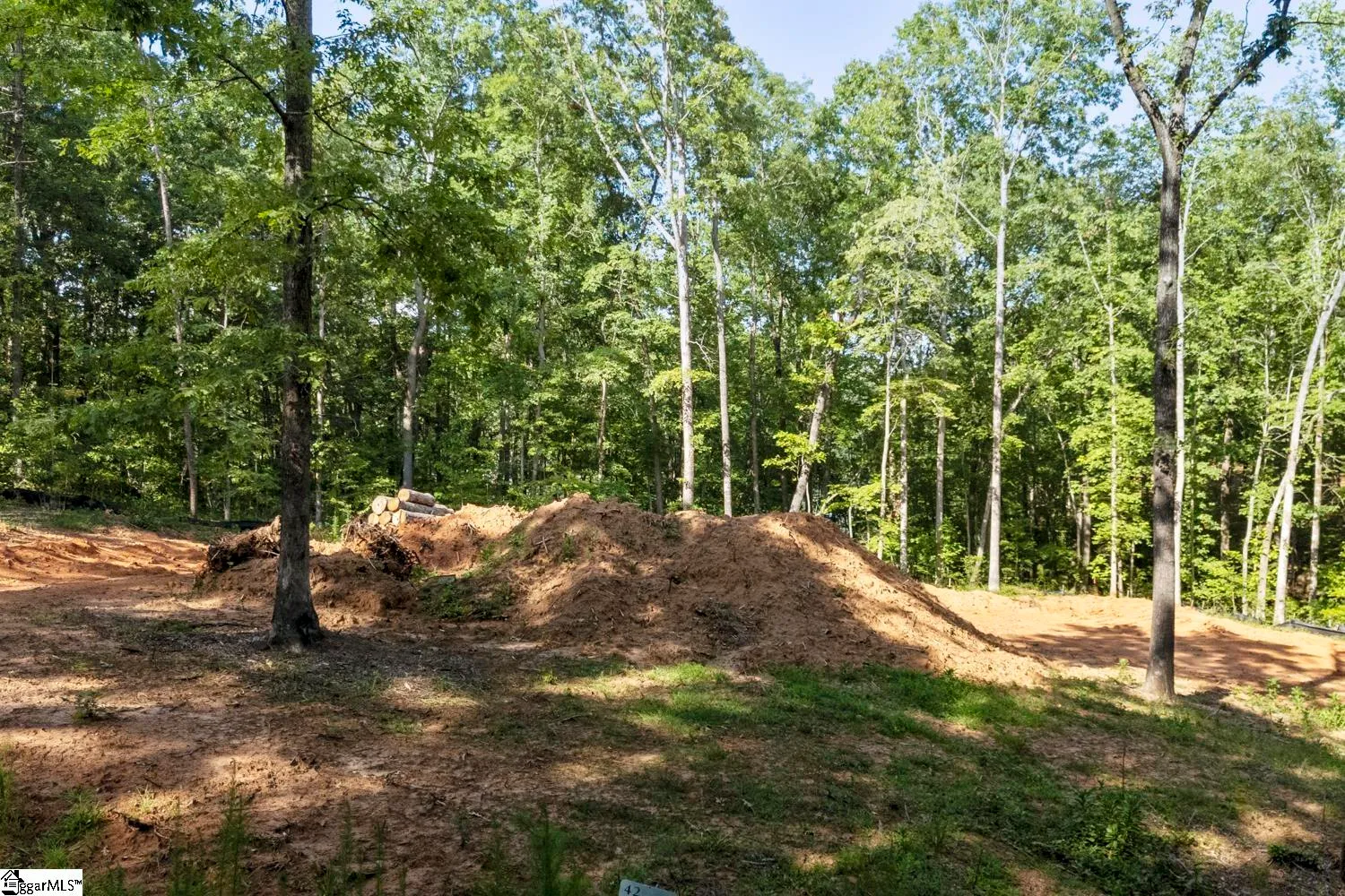 Property image 5 at 6004 Glassy Water Way, West Union, SC 29696