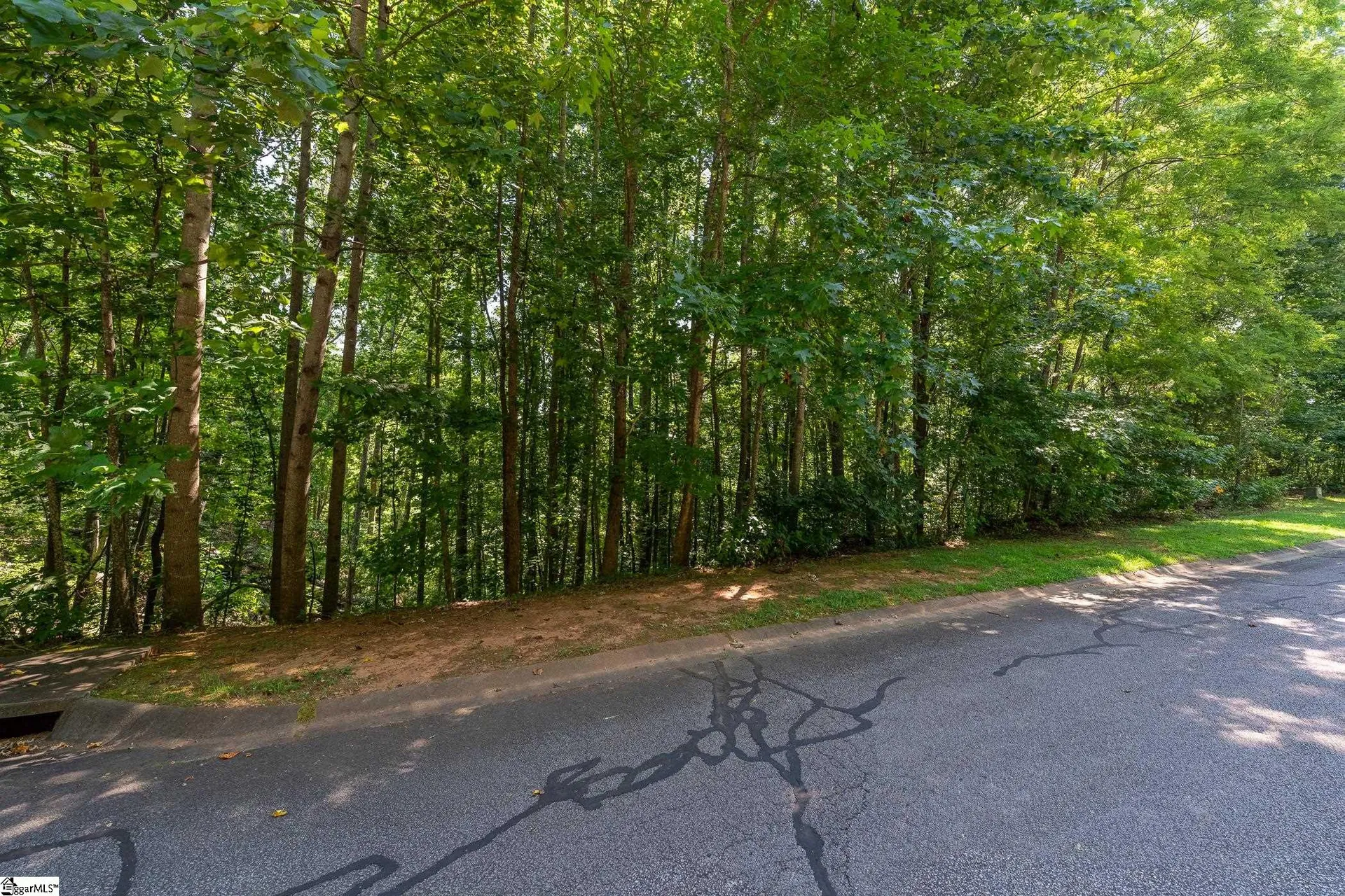 313 Laurel Valley Way