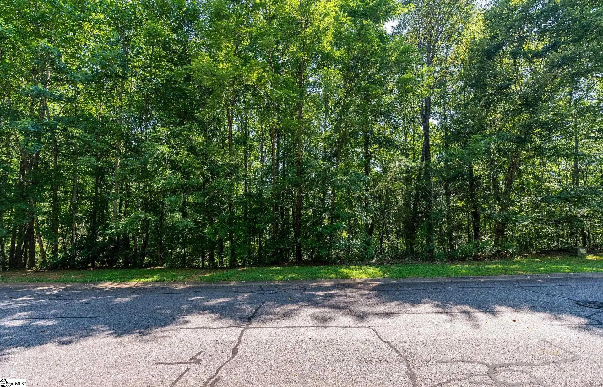 Property image 2 at 313 Laurel Valley Way, Travelers Rest, SC 29690