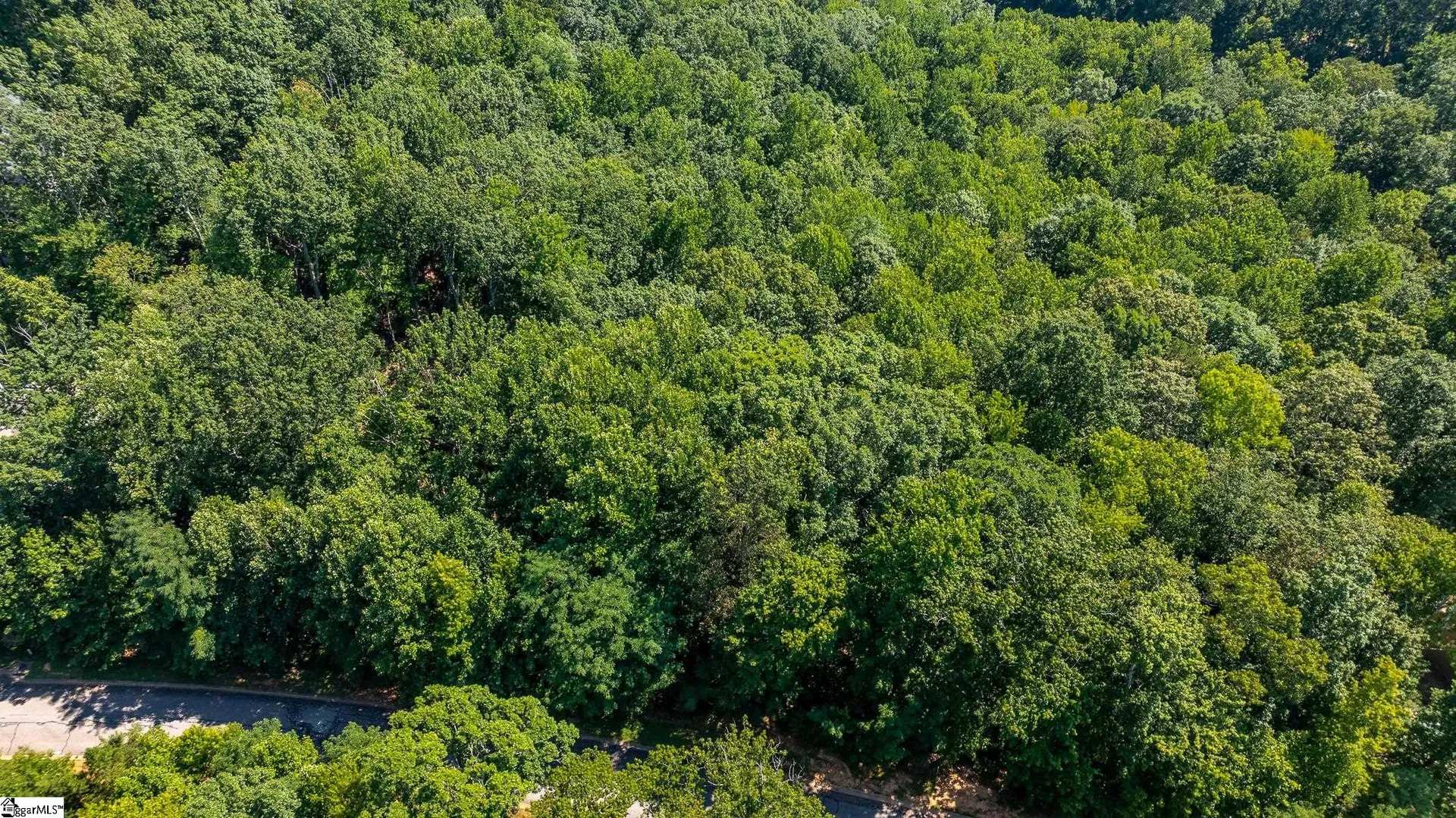 Property image 3 at 317 Laurel Valley Way, Travelers Rest, SC 29690