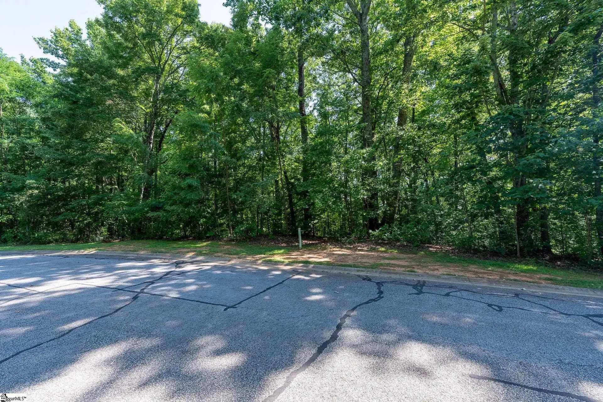 Property image 4 at 317 Laurel Valley Way, Travelers Rest, SC 29690