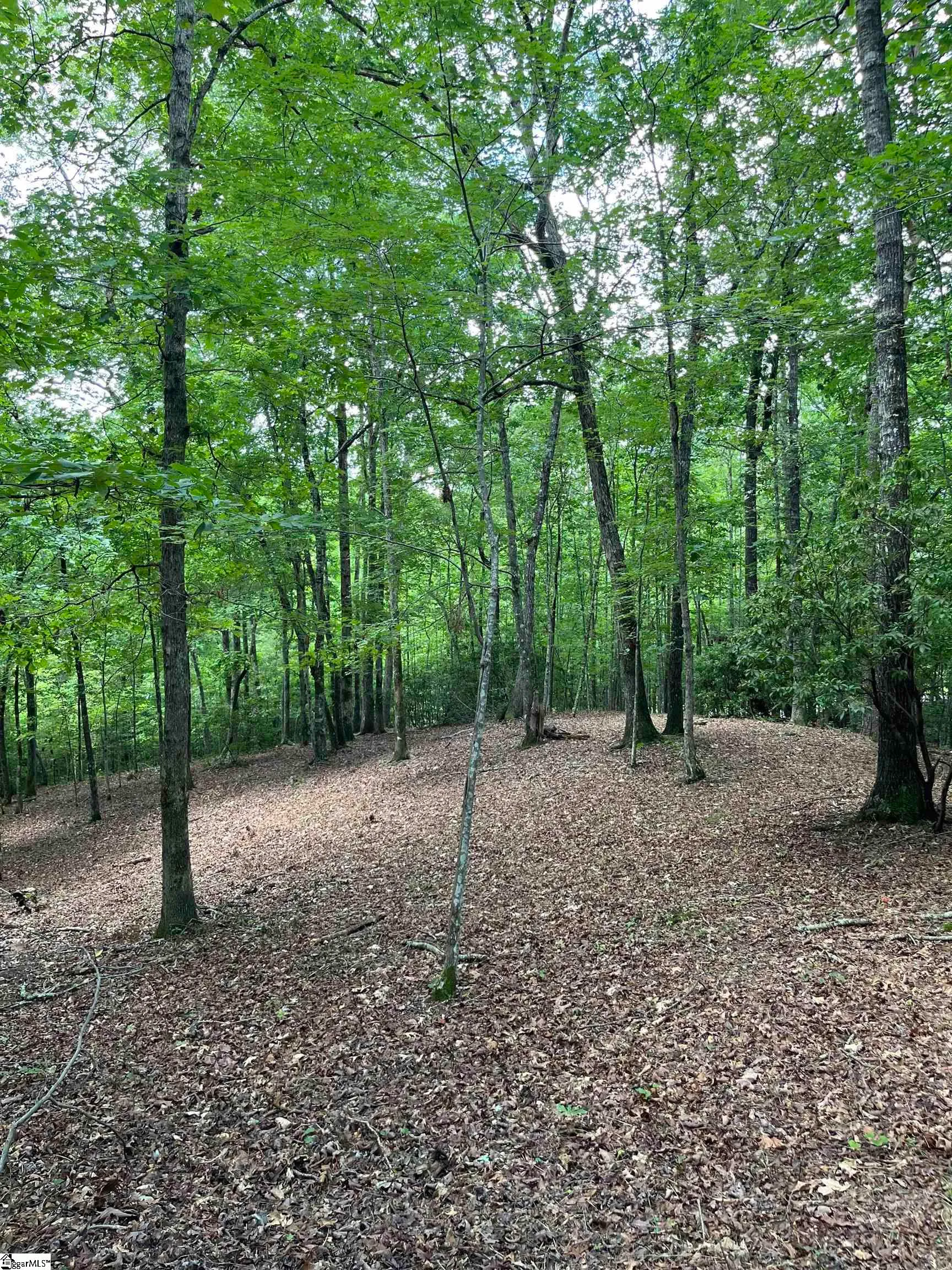 Property image 3 at Darting Sparrow Way, Marietta, SC 29661