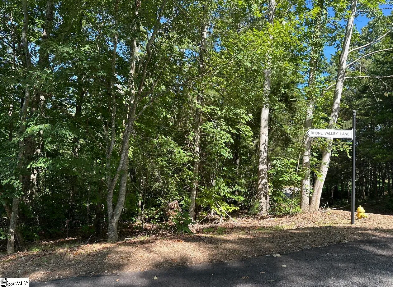 Property image 2 at 201 Cabernet Way, Travelers Rest, SC 29690