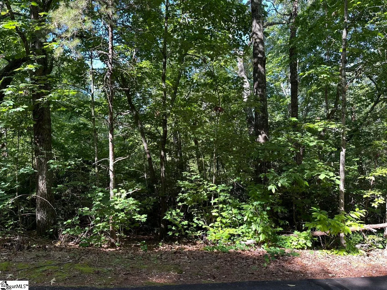 Property image 3 at 201 Cabernet Way, Travelers Rest, SC 29690