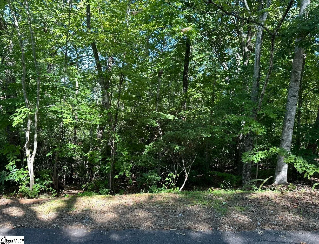 Property image 4 at 201 Cabernet Way, Travelers Rest, SC 29690