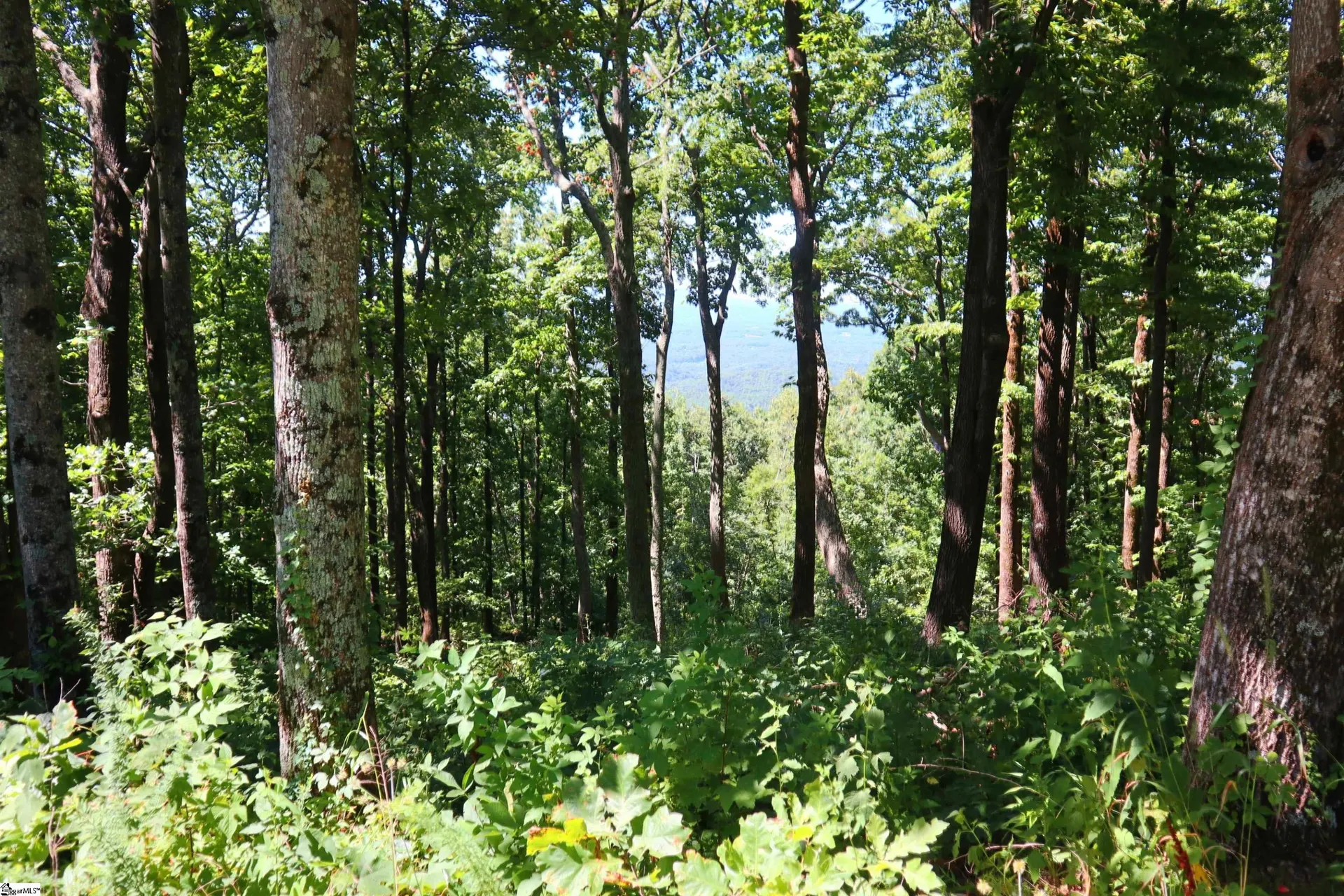 Property image 3 at 233 Southview Ledge Road, Landrum, SC 29356