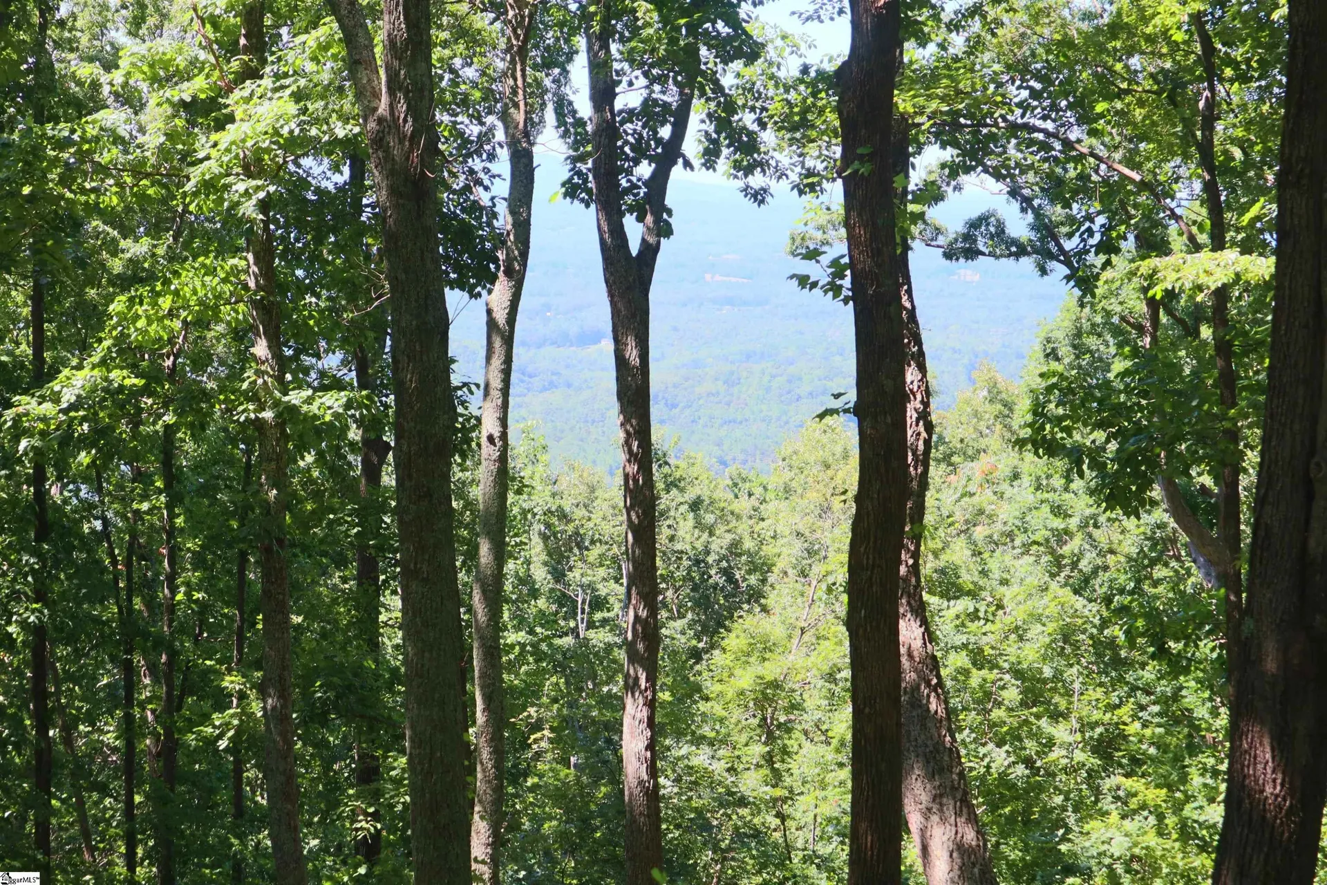 Property image 4 at 233 Southview Ledge Road, Landrum, SC 29356
