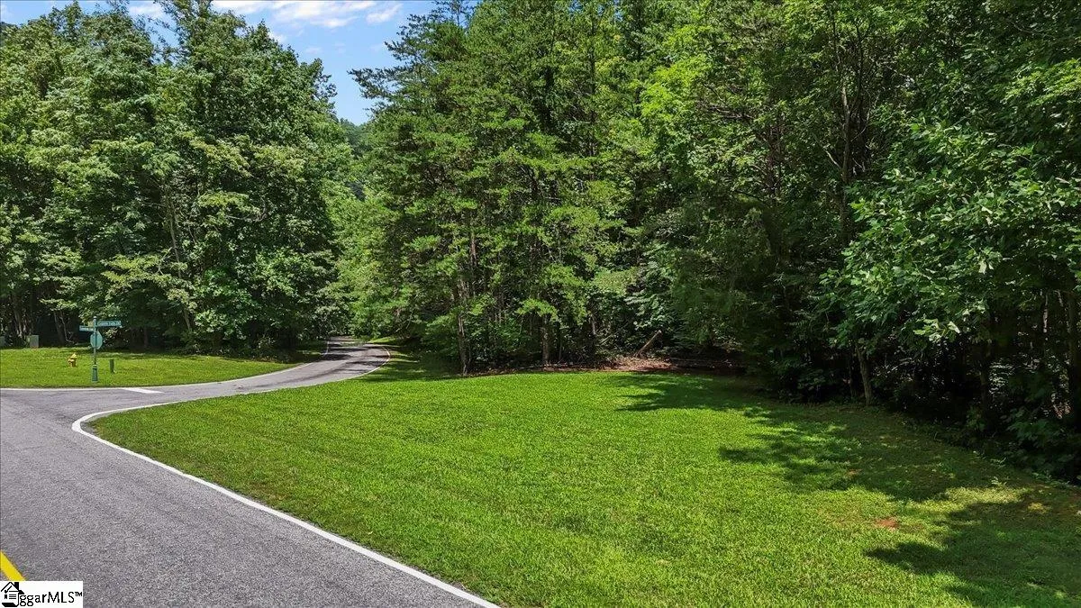 Property image 3 at 2 Granite Falls Drive, Landrum, SC 29356
