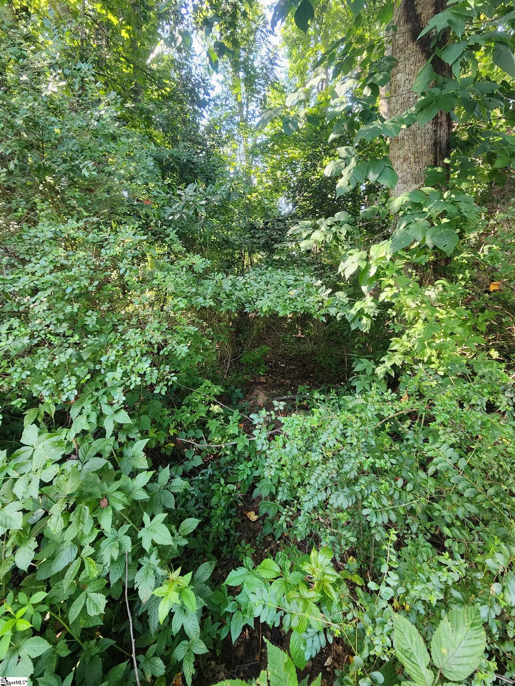 Property image 2 at 103 Quail Haven Drive, Easley, SC 29642