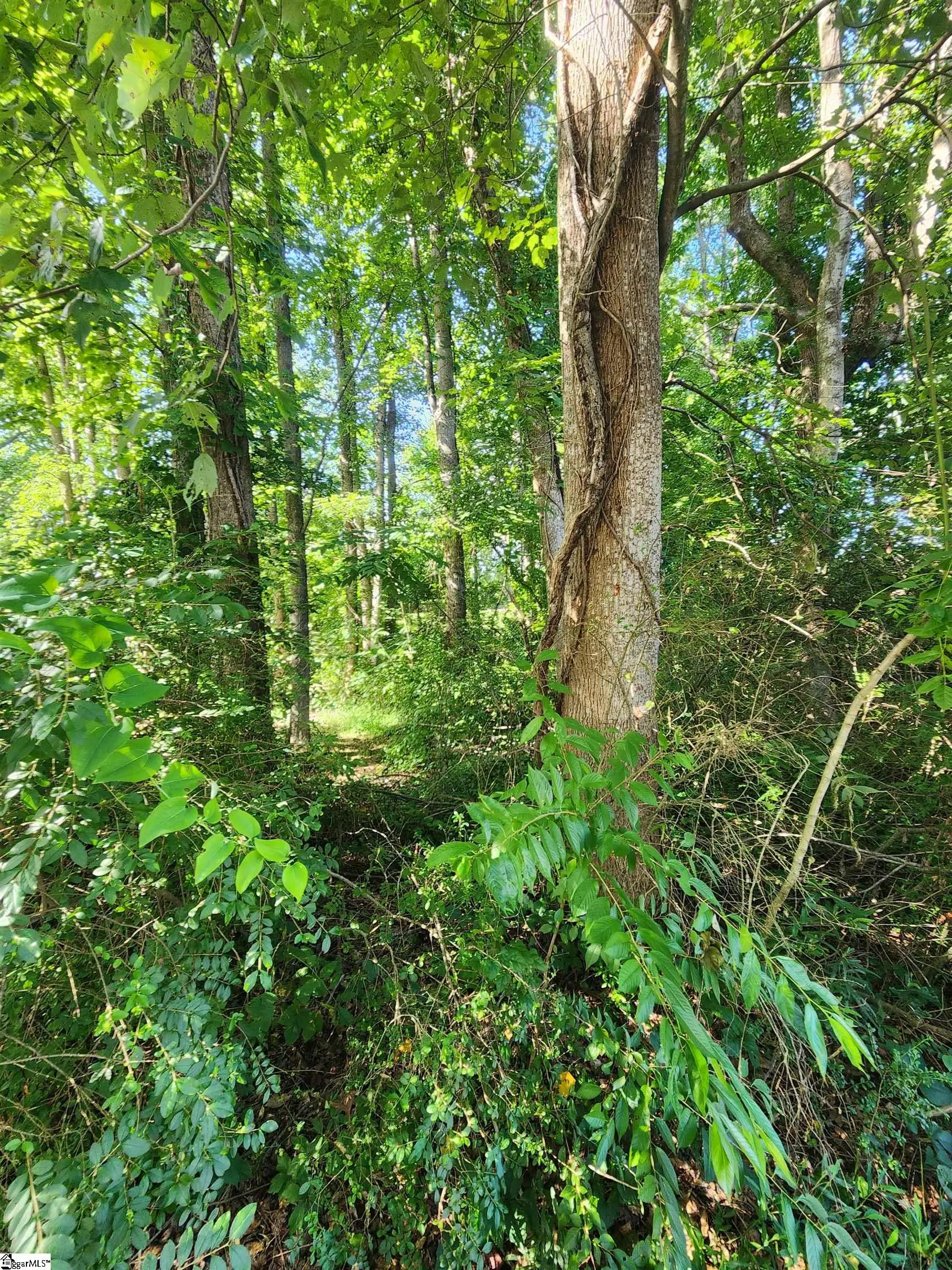 Property image 5 at 103 Quail Haven Drive, Easley, SC 29642