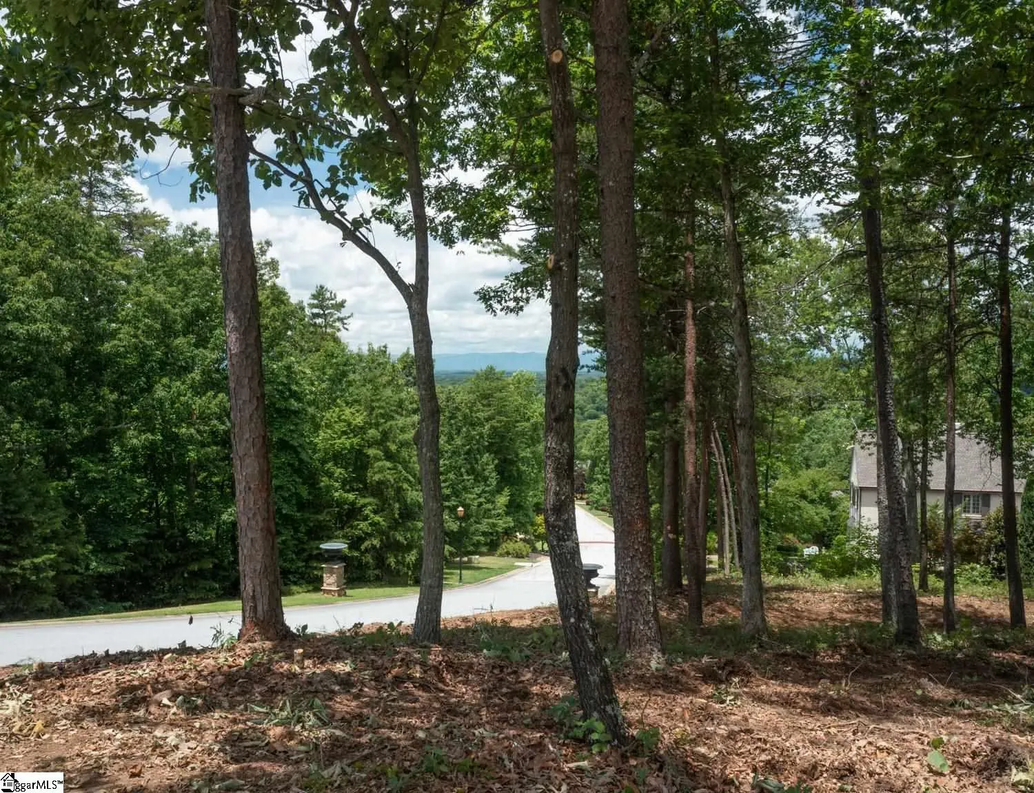 Property image 3 at 5 Donatello Court, Greenville, SC 29609