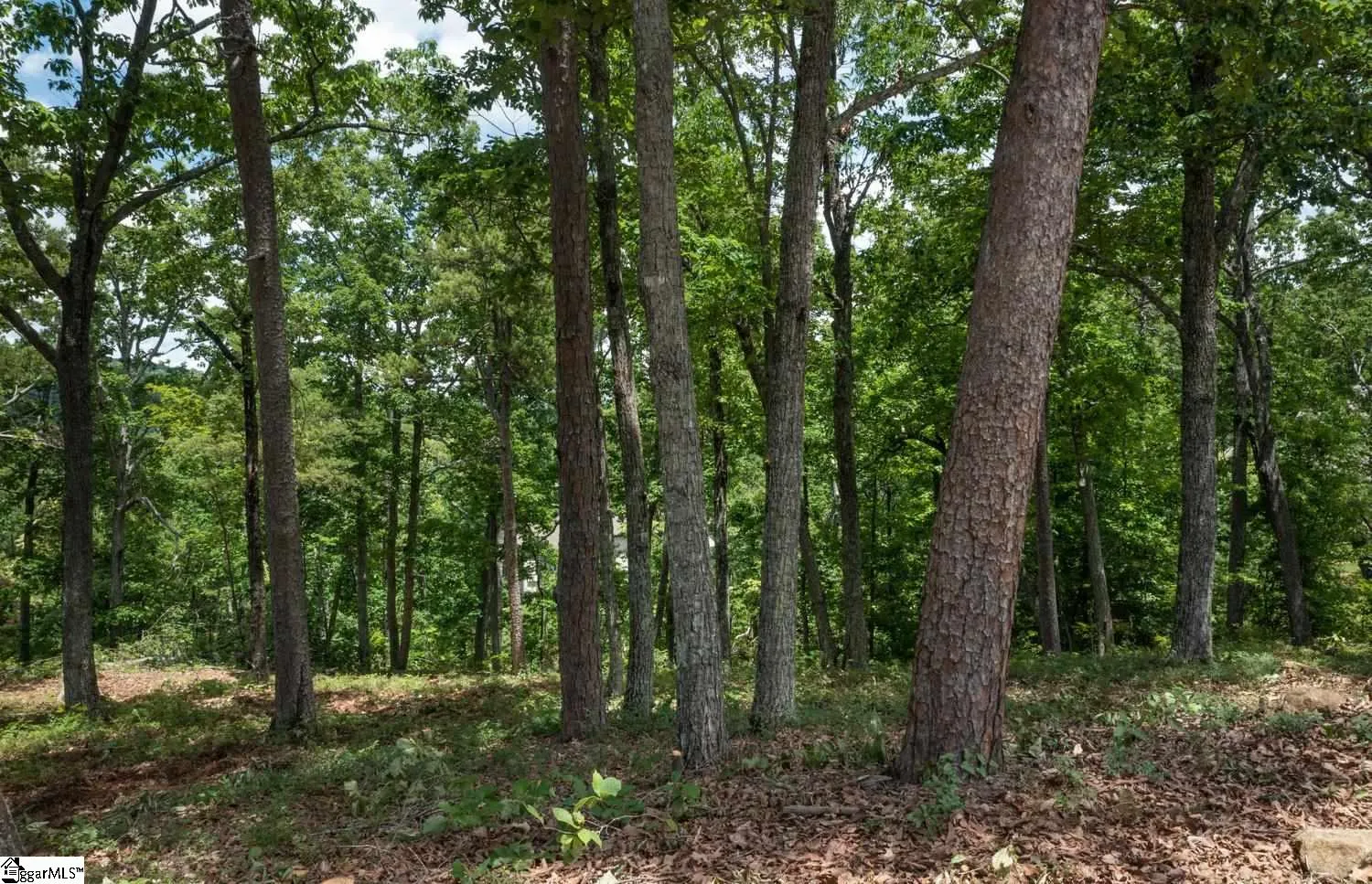 Property image 4 at 5 Donatello Court, Greenville, SC 29609