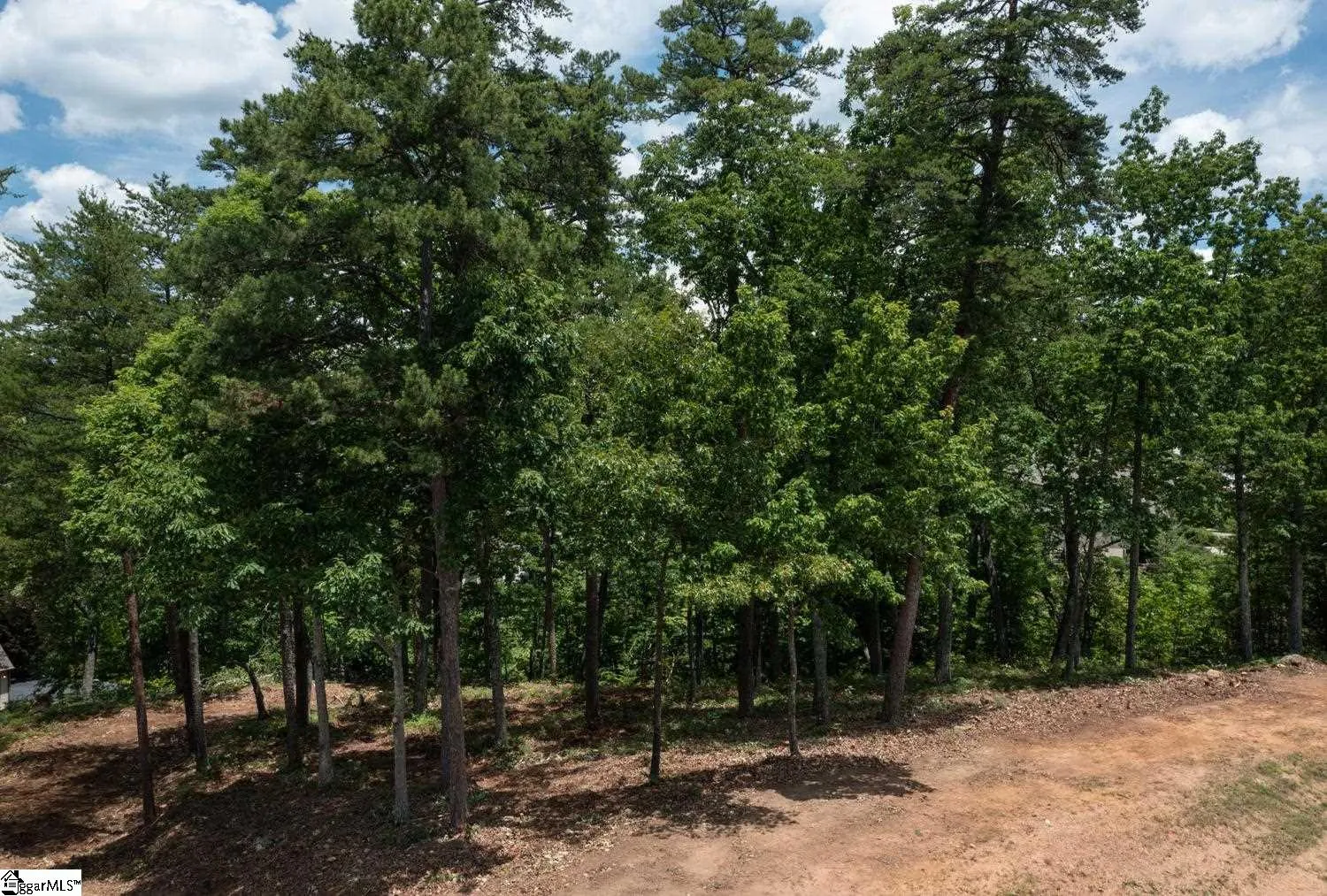 Property image 5 at 5 Donatello Court, Greenville, SC 29609