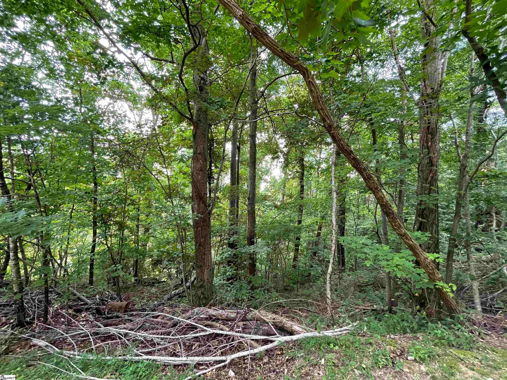 Property image 2 at 0 Pine Shadow Lane, Landrum, SC 29356