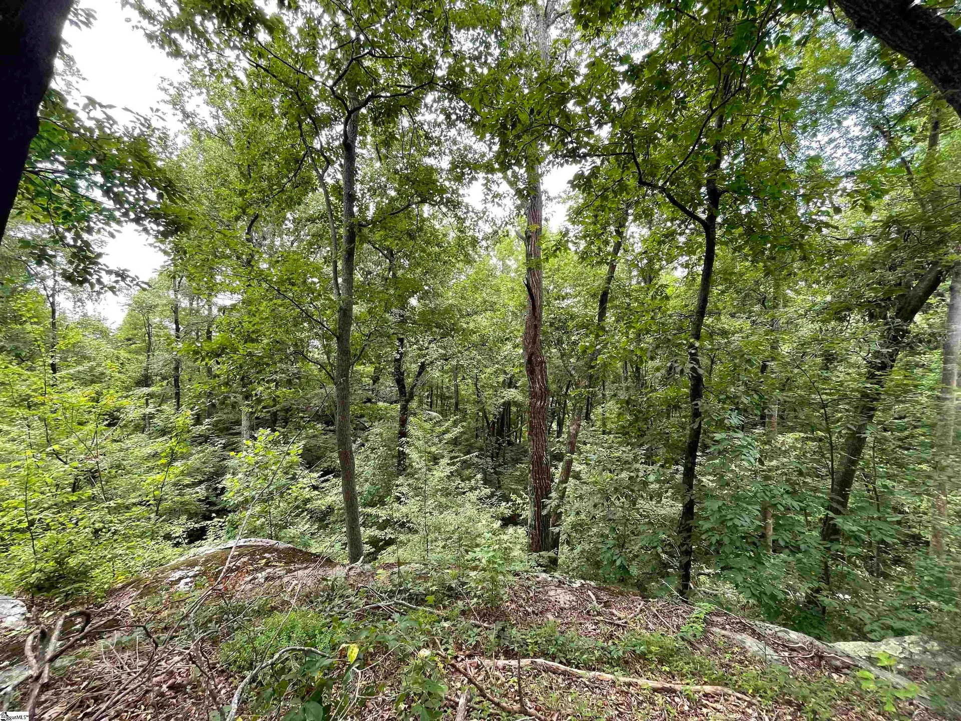 Property image 3 at 0 Pine Shadow Lane, Landrum, SC 29356
