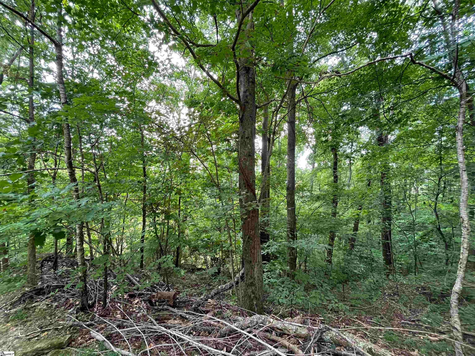 Property image 4 at 0 Pine Shadow Lane, Landrum, SC 29356