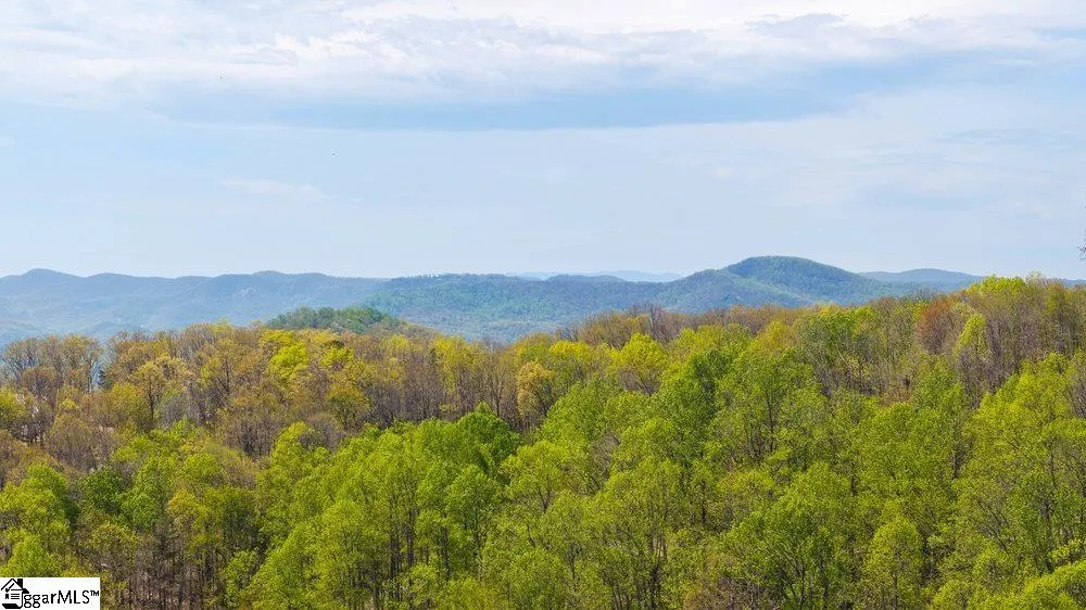Property image 2 at 0 Mica Flat Drive, Landrum, SC 29356