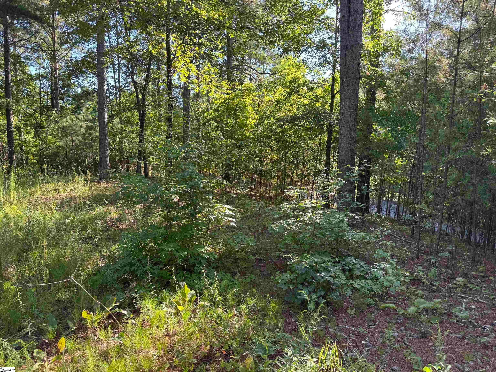 Property image 2 at 527 Brookgreen Trail, Salem, SC 29676