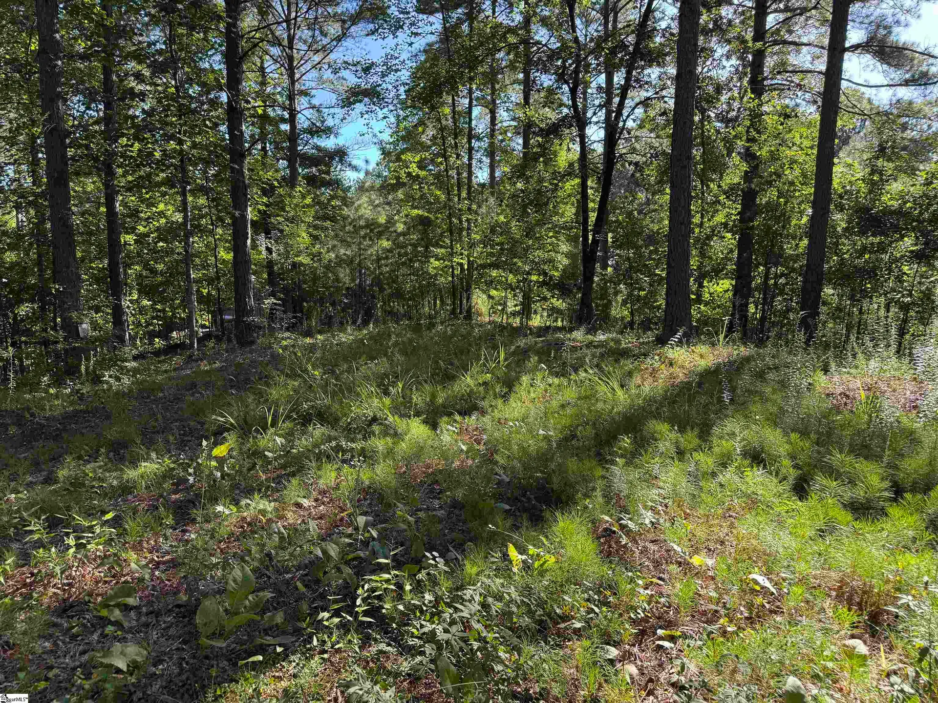 Property image 4 at 527 Brookgreen Trail, Salem, SC 29676
