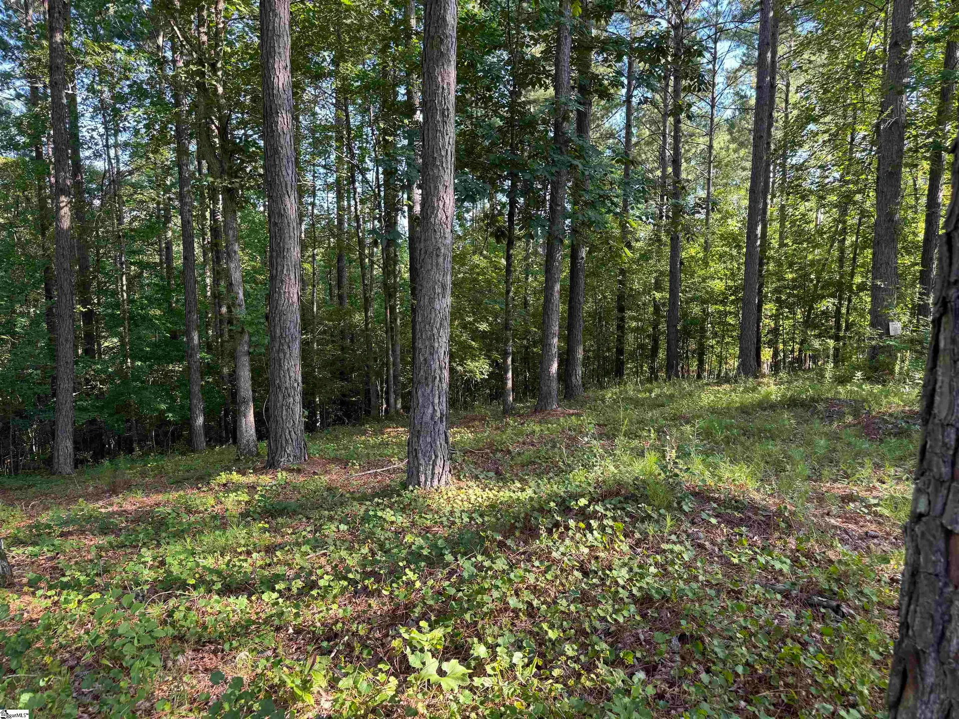 Property image 5 at 527 Brookgreen Trail, Salem, SC 29676