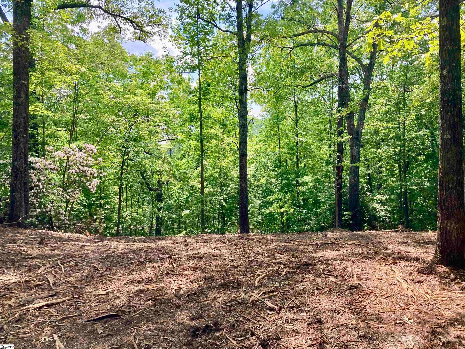 Property image 2 at 5 Water View Court, Travelers Rest, SC 29690
