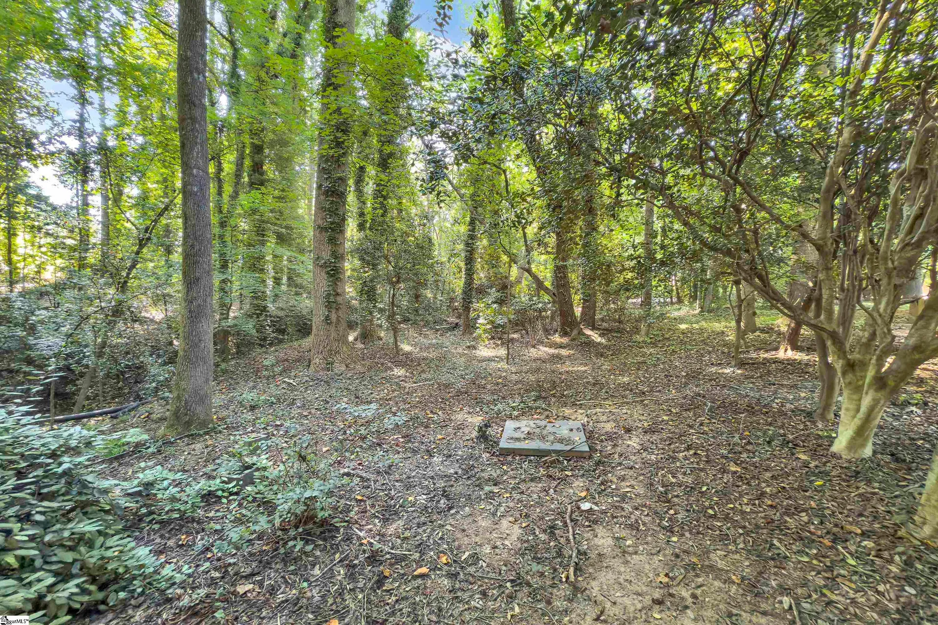 Property image 5 at 1023 Four Mile Branch Road, Spartanburg, SC 29302