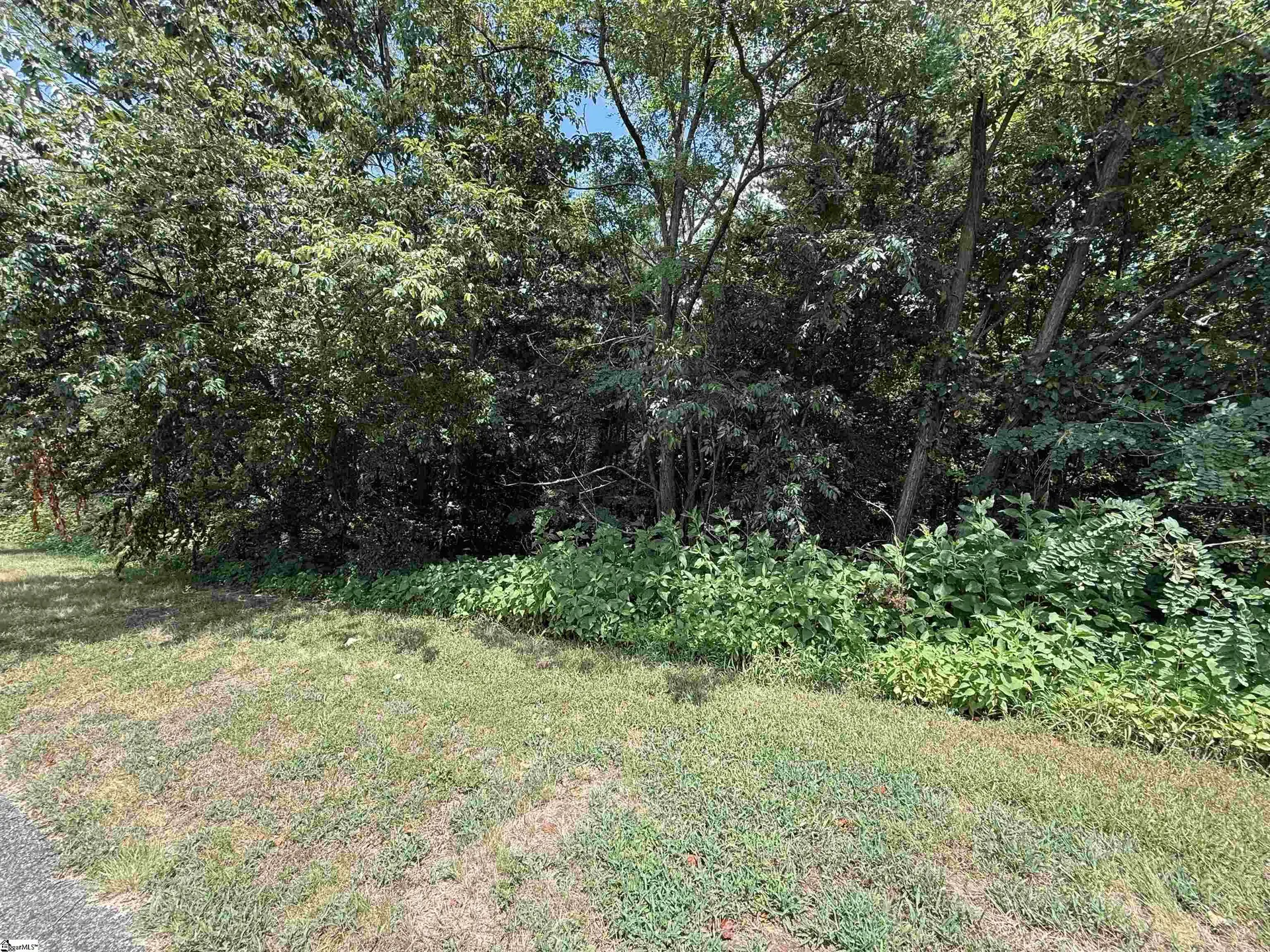 Property image 3 at 83 Eagle Rock Road, Landrum, SC 29356